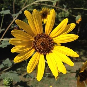 Meet your Posher, Wendy ann